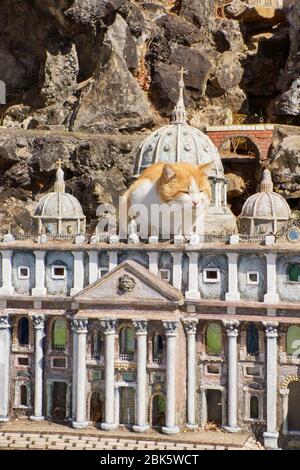 Katze auf Modell der St. Peters Kirche von Rom in Ave Maria Grotto in Cullman Alabama Stockfoto