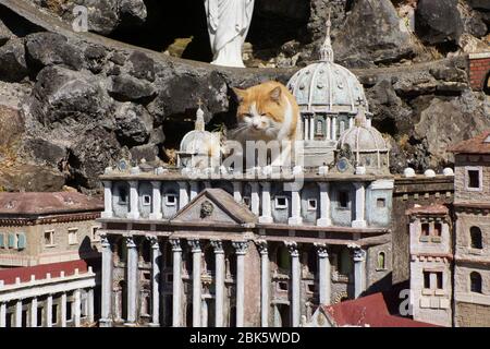 Katze auf Modell der St. Peters Kirche von Rom in Ave Maria Grotto in Cullman Alabama Stockfoto