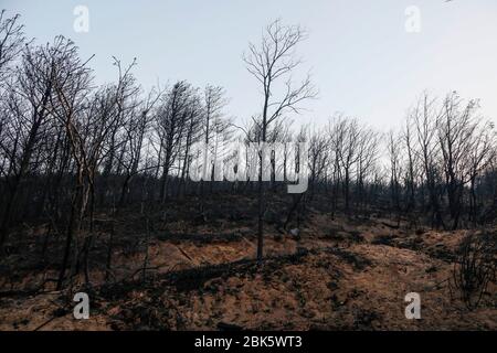 1. Mai 2020, Gosung, GANGWON, SÜDKOREA: 1. Mai 2020-Gosung, Südkorea-A Blick auf brennenden Wald bei DMZ in Goseong, etwa 160 Kilometer nordöstlich von Seoul, am 1. Mai 2020. Ein Tag zuvor brach das Feuer aus. Am späten Freitag brach ein Feuer in der Nähe eines Berges in Goseong, Provinz Gangwon, aus, das mindestens Dutzende Menschen zur Evakuierung zwang und die lokalen Behörden dazu zwang, Hilfe aus den umliegenden Städten zu holen. Quelle: ZUMA Press, Inc./Alamy Live News Stockfoto