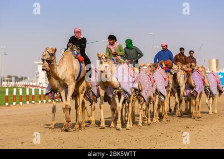 Kamelrennen auf der Al Marmoom Rennstrecke in Dubai, Vereinigte Arabische Emirate Stockfoto