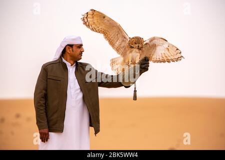 Desert Eagle Owl im Dubai Desert Conservation Reserve, Dubai, Vereinigte Arabische Emirate Stockfoto