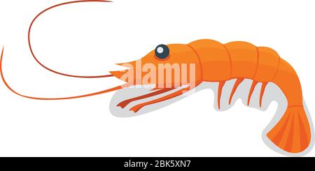 Meeresfrüchte Garnelen, Ozean Delikatesse Lebensmittel auf weißen Cartoon Vektor Illustration isoliert. Garnele zum Grillen, asiatisches Speisekonzept. Stock Vektor