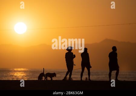 Los Angeles, USA. Mai 2020. Drei Leute gehen mit ihren Hunden am Strand von Venice Beach spazieren. Die Strände in LA County sind aufgrund der Corona-Krise offiziell geschlossen. Bild: Maximilian Haupt/dpa/Alamy Live News Stockfoto