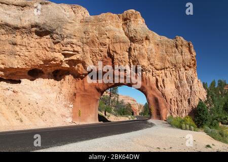 Red Canyon Tunnel im Dixie National Forest, Utah, USA. Stockfoto