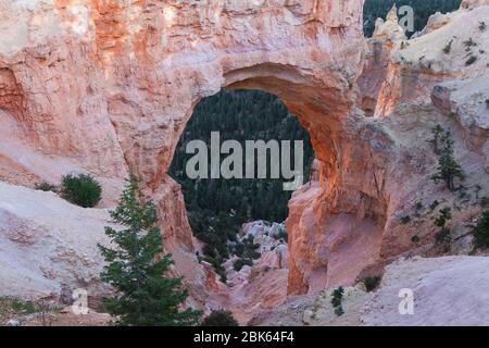 Natural Bridge Arch in Bryce Canyon, Utah, USA. Stockfoto