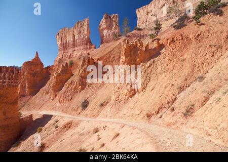 Navajo Loop Trail in der Nähe von Sunset Point im Bryce Canyon National Park, Utah, USA. Stockfoto