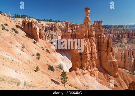 Thor's Hammer im Bryce Canyon National Park, Utah, USA. Stockfoto