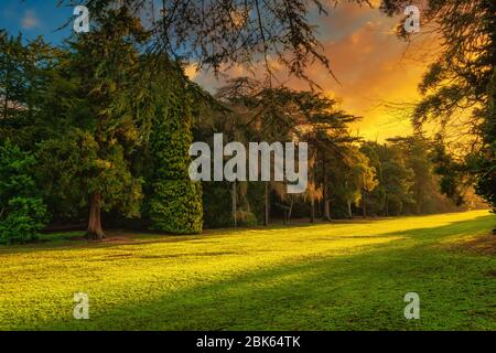 Ein schönes warmes Licht zur goldenen Stunde im Elvaston Country Park in Derbyshire. Stockfoto