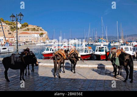 Maultiere warten auf Touristen im Hafen von Hydra Insel, Griechenland. Stockfoto