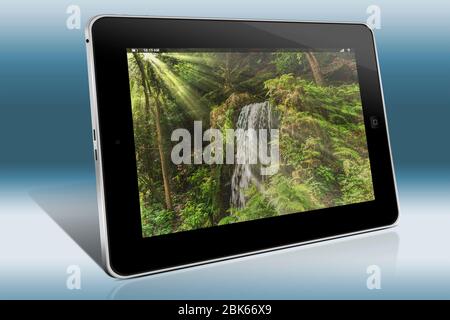 Kleiner Wasserfall im Wald, die Sonne scheint durch die Bäume, Hrensko, Ustecky kraj, Tschechische Republik, Europa Stockfoto