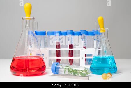 Eines der verschiedenen Werkzeuge und Behälter, die in Experimenten auf weißem Hintergrund verwendet werden Stockfoto