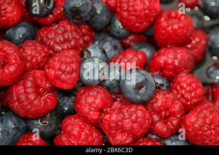 Raspberries and blueberries in close up Stockfoto