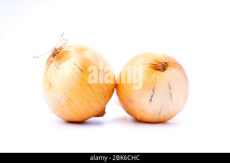 Ganze Zwiebelkraut auf weißem Hintergrund isoliert Stockfoto