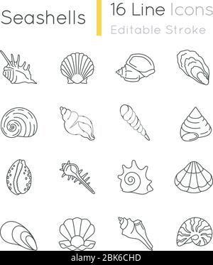 Seashells Pixel Perfect lineare Symbole gesetzt Stock Vektor