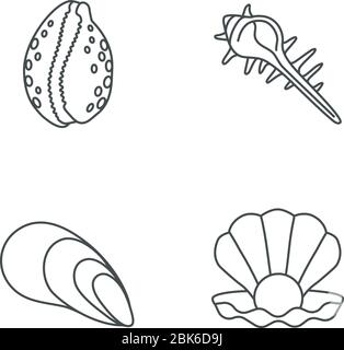 Verschiedene Muscheln Pixel perfekte lineare Symbole gesetzt Stock Vektor