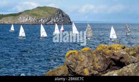 Segeln Dinghy Racing, East Lothian Yacht Club, North Berwick. Craigleith Island im Hintergrund Stockfoto