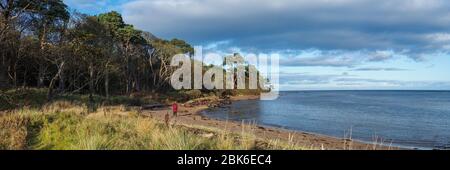 Panoramabild einer Frau, die neben Tyne Sands, Tyne Mouth, Tyninghame Links, East Lothian spazieren geht Stockfoto