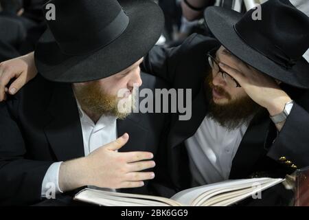 Zwei orthodoxe jüdische junge Männer studieren zusammen in einer Partnerschaft, die chavrusa genannt wird. In einer Synagoge in Queens, New York. Stockfoto