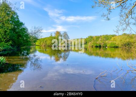 Heller Frühlingsmorgen an einem See umgeben von Bäumen und Büschen, die sich im sanft gewellten Wasser spiegeln. HDR-Bild Stockfoto