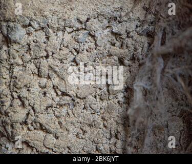 Nahaufnahme der Betonwand Stockfoto