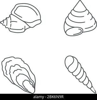 Verschiedene Muscheln Pixel perfekte lineare Symbole gesetzt Stock Vektor