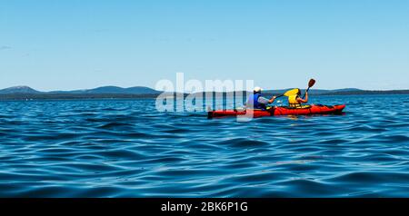 Zwei Personen, die alleine im blauen Wasser des Frenchmans Bay Bar Harbor Kajak fahren. Stockfoto