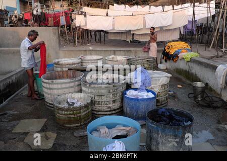 Dhobis oder Waschmaschinen aus der Kanaujia (Waschmaschinen) Kaste bei Walkeshwar Dhobi Ghat in Walkeshwar, Mumbai, Indien, Wäsche von Hand in Bottichen waschen Stockfoto