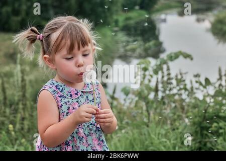 Kleine lockige Mädchen bläst Löwenzahn Stockfoto