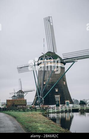 Traditionelle ökologische hollands Windmühlen in authentischen Niederlanden landschaftlich, mit Schwarm von Enten rund. Niederländische Kultur Stockfoto