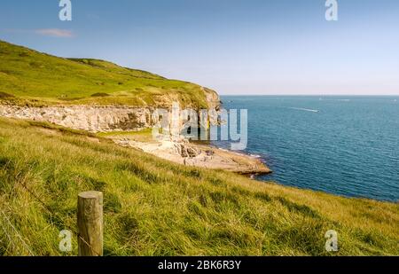 Blick nach Osten entlang der felsigen Jurassic Coast von einem Klippenpfad mit dem Dancing Ledge, Langton Matravers, in der Nähe von Swanage, Dorset, Großbritannien Stockfoto