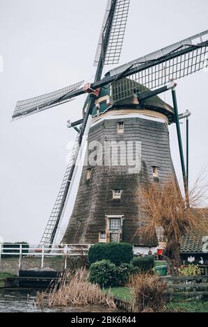 Traditionelle ökologische hollands Windmühlen in authentischen Niederlanden landschaftlich, mit Schwarm von Enten rund. Niederländische Kultur Stockfoto