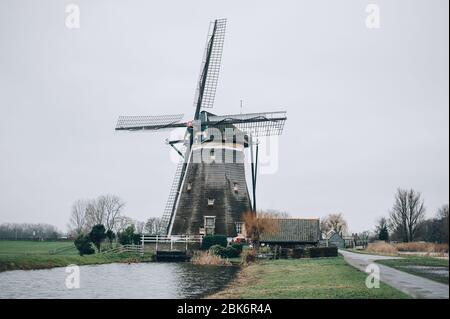 Traditionelle ökologische hollands Windmühlen in authentischen Niederlanden landschaftlich, mit Schwarm von Enten rund. Niederländische Kultur Stockfoto