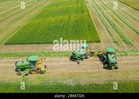 John Deere Mähdrescher Verarbeitung eines großen Weizenfeldes für Silage, Luftaufnahme. Stockfoto