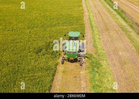 John Deere Mähdrescher Verarbeitung eines großen Weizenfeldes für Silage, Luftaufnahme. Stockfoto