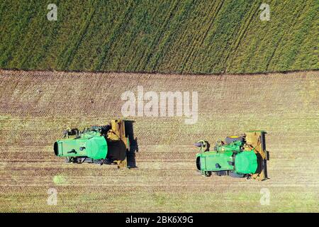 John Deere Mähdrescher Verarbeitung eines großen Weizenfeldes für Silage, Luftaufnahme. Stockfoto