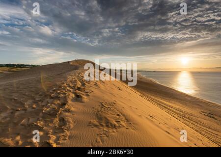 Tottori, Japan Sanddünen auf dem Meer von Japan. Stockfoto