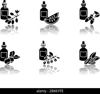 Haaröle Drop Schatten schwarz Glyph Symbole gesetzt. Avocado Beauty Produkt. Kalahari Melone Samen Essenz in Glas. Kokosöl im Behälter. Isoliert Stock Vektor