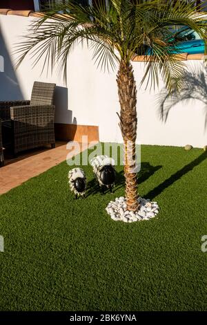 Schafe auf dem Rasen Stockfoto