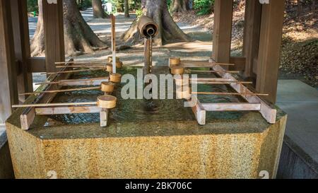 Temizuya, Meiji-Schrein. Tokio, Japan Stockfoto