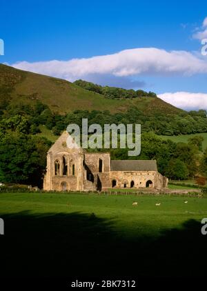 Valle Crucis Abbey von der Straße aus gesehen, Llangollen, Denbighshire, Wales. Ruiniert mittelalterlichen Zisterzienserabtei Stockfoto