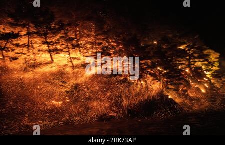 Goseong. Mai 2020. Das Foto, das Anfang Mai 2020 aufgenommen wurde, zeigt einen Brand in Goseong, Südkorea. Am späten Freitag brach in Goseong, Provinz Gangwon, ein Feuer aus, das Hunderte von Menschen zur Evakuierung zwang. Der Brand wurde größtenteils bis Samstagmittag gelöscht, ohne dass es dabei um Verletzte ging. Kredit: Lee Sang-ho/Xinhua/Alamy Live News Stockfoto