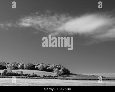 Schwarz-Weiß-Landschaft, Frühling, Chiltern Hills, Ipsden, Oxfordshire, England, Großbritannien, GB. Stockfoto