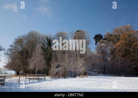 Eine schöne schneebedeckte Landschaft mit Feldern und Bäumen und blauem Himmel Stockfoto