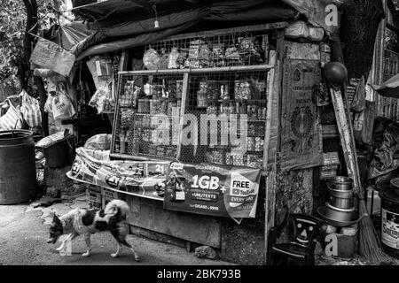 Leben in Friedhöfen, Manila, Philippinen Stockfoto