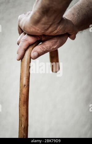 Nahaufnahme der Hände des älteren Mannes auf einem hölzernen Gehstock. Selektiver Fokus auf Finger. Stockfoto