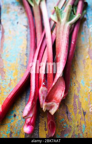 Frischer rosa Rhabarber auf Hintergrund Stockfoto