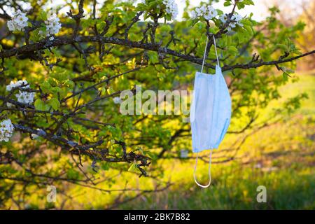 Umweltverschmutzung, verwendet infektiöse Masken während der covid-19 Pandemie geworfen. Medizinische Maske hängen an einem blühenden Baum im Wald, Park. Stockfoto