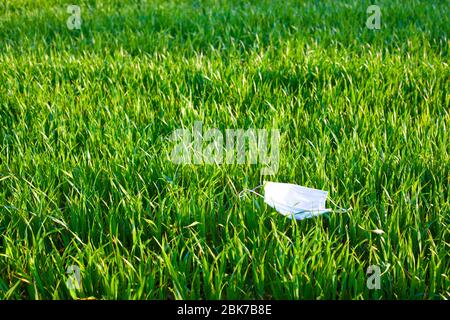 Medizinische Maske auf dem grünen Gras liegend. Bei der Pandemie des Coronavirus Covid-19 wird Altmüll in die Umwelt freigesetzt. Stockfoto