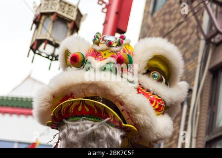 Traditioneller Drachentanz während der Neujahrsfeier in Chinatown in Kobe, Präfektur Hyogo, Japan Stockfoto