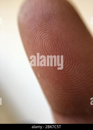 Makroansicht eines Fingerabdrucks, Daumen-Makrofotografie, Daumenabdruck. Stockfoto